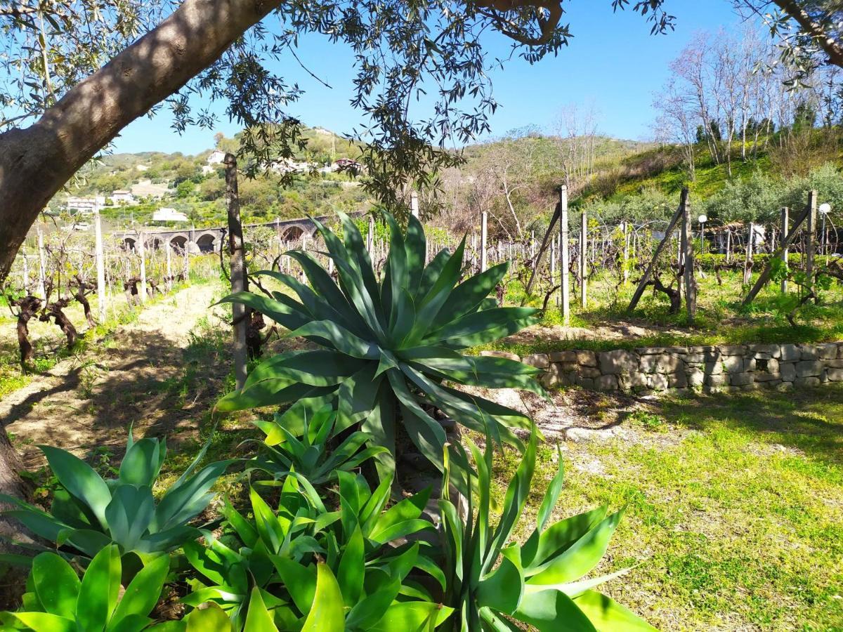 Il Vigneto "Cottage" Gaggi Extérieur photo